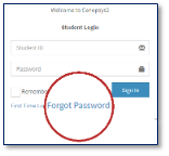 Email reset step 1
