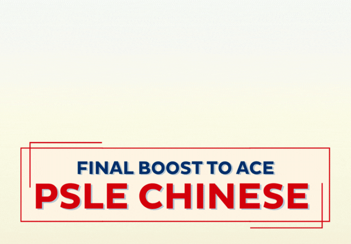 [gif] YXL-PSLE Chinese Booster Class